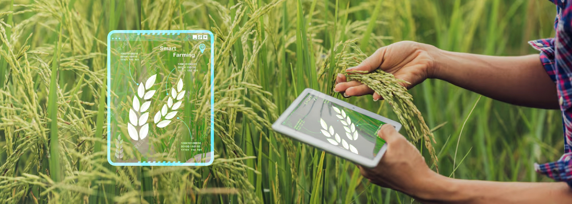The Role of Accurate Data Annotation in Crop monitoring