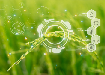 Annotation Debt in Agri-Robotics