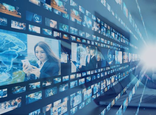 Enhancing Video Insights with Short and Long Form Annotation