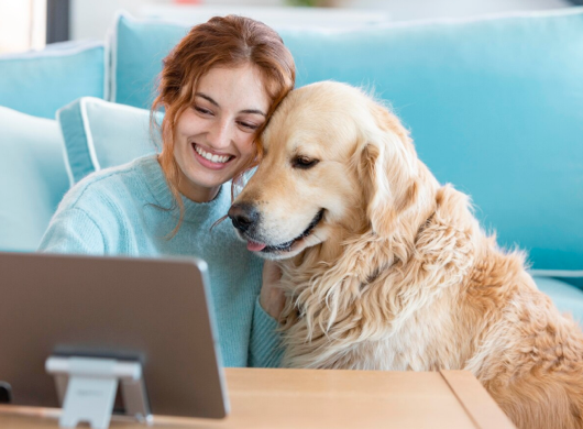 Transforming Veterinary Care: Rapid Medical Support Through DevOps